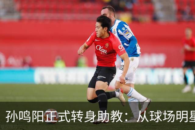 孙鸣阳正式转身助教：从球场明星到战略大师！